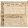 Image 1 : Nevada Freehold Properties Trust   (90571)