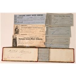 Tuolumne Water Company Archive  (113564)