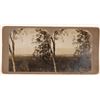 Image 1 : "Redlands from Smiley Heights, California" Stereoview  (118736)