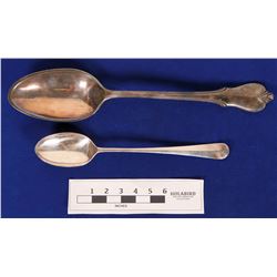 Decorative Serving Spoons  (121547)