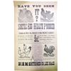 Image 1 : Chickens and Egg Broadside  (85144)