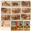 Image 1 : Theodore Roosevelt Humorous Postcards Group With Possums (13)  (118690)