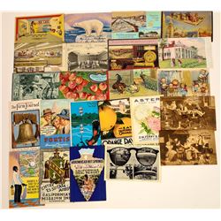 Colorful Advertising Postcards  (125828)