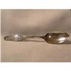 Image 1 : VICTORIAN STERLING SILVER SERVING SPOON #1289163