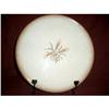Image 1 : ROYAL DOULTON  CHARGER BROWN DOTS  #1289711