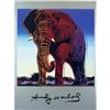 Image 1 : ANDY WARHOL OFFICIAL RARE WILDLIFE AFRICAN #1308418