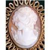 Image 1 : Estate Winard Shell Cameo Pin Broach Gold  #1308642
