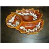 Image 1 : Hull House & Garden Chip - n-Dip Server  #1314441