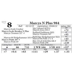 Marcys N Plus 984