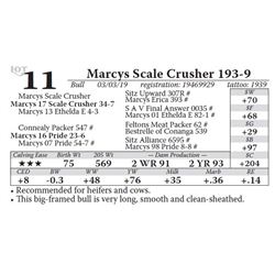 Marcys Scale Crusher 193-9