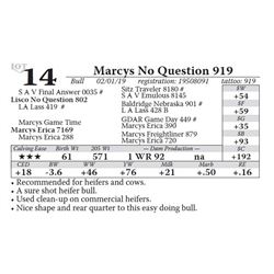 Marcys No Question 919