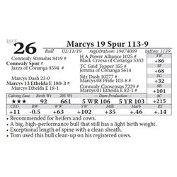 Marcys 19 Spur 113-9