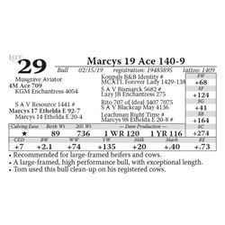 Marcys 19 Ace 140-9