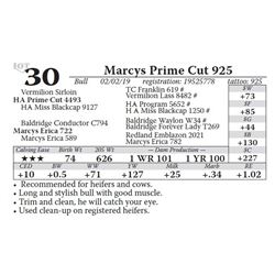Marcys Prime Cut 925