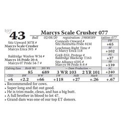 Marcys Scale Crusher 077