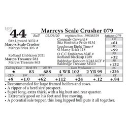 Marrcys Scale Crusher 079