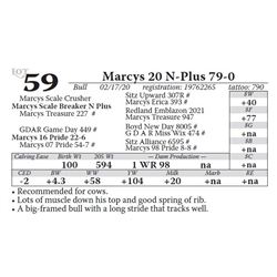 Marcys 20 N-Plus 79-0
