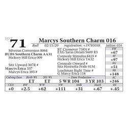 Marcys Southern Charm 016