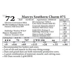Marcys Southern Charm 075