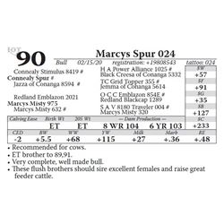 Marcys Spur 024