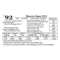 Marcys Spur 053