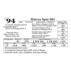 Marcys Spur 085