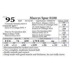 Marcys Spur 0100