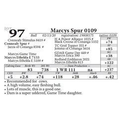 Marcys Spur 0109