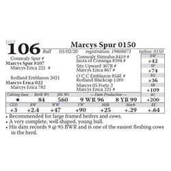 Marcys Spur 0150