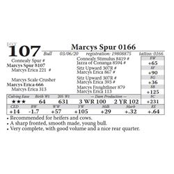 Marcys Spur 0166