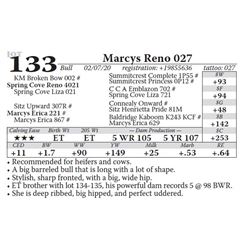 Marcys Reno 027
