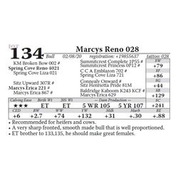 Marcys Reno 028