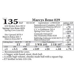 Marcys Reno 029