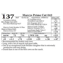 Marcys Prime Cut 042