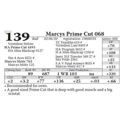 Marcys Prime Cut 068