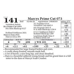 Marcys Prime Cut 073