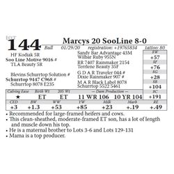 Marcys 20 SooLine 8-0