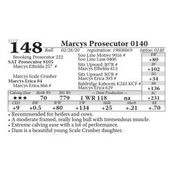 Marcys Prosecutor 0140