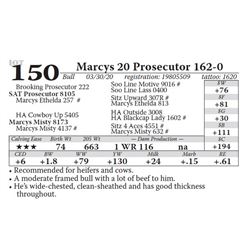 Marcys 20 Prosecutor 162-0