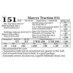 Marcys Traction 031