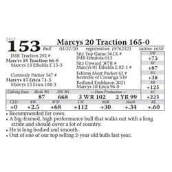 Marcys 20 Traction 165-0