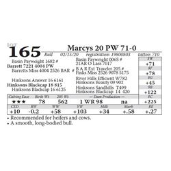 Marcys 20 PW 71-0
