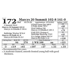 Marcys 20 Summit 102-8 141-0