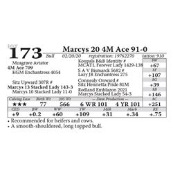 Marcys 20 4M Ace 91-0