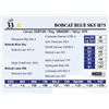 Image 1 : Bobcat Blue Sky H75