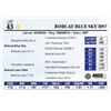 Image 1 : Bobcat Blue Sky H97