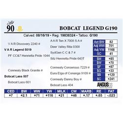 Bobcat  Legend G190