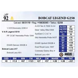 Bobcat Legend G258