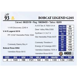 Bobcat Legend G205