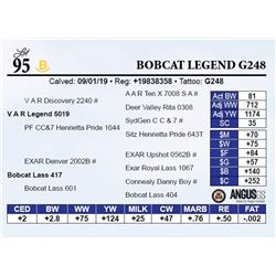 Bobcat Legend G248